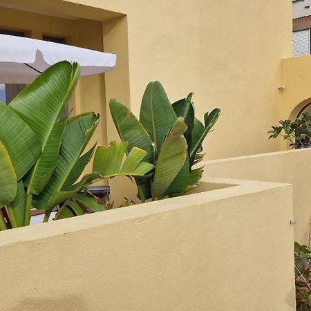 파로 Casa Da Acoteia 아파트 외부 사진